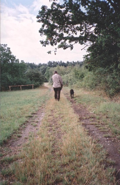 Copyright  2004 Ortrud Aschenbrenner