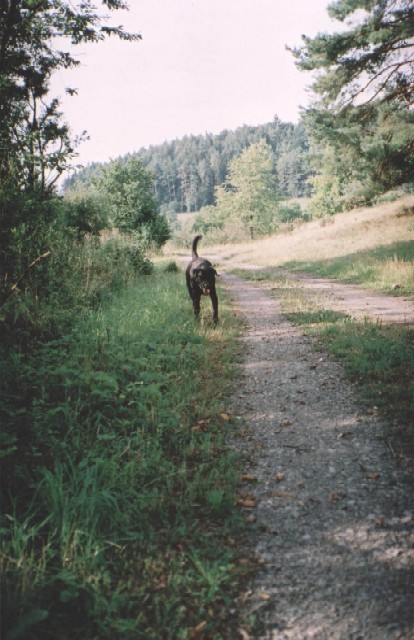 Copyright  2004 Ortrud Aschenbrenner